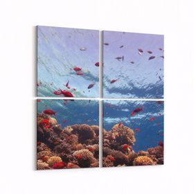 Olla 12059K4 Akvaryum Balık Görseli Kare 4 Parça 65x65 cm Kanvas Tablo