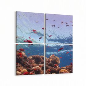 Olla 12059K4 Akvaryum Balık Görseli Kare 4 Parça 65x65 cm Kanvas Tablo