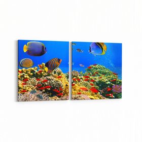 Olla 12060K2Y Akvaryum Balık Görseli Kare 2 Parça Yatay 65x30 cm Kanvas Tablo