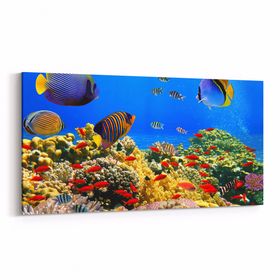 Olla 12060YD Akvaryum Balık Görseli Yatay Dar 60x30 cm Kanvas Tablo