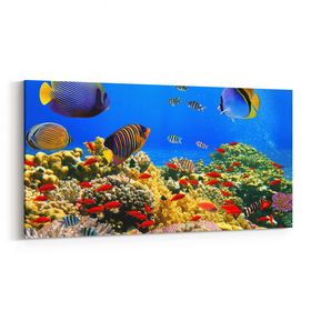 Olla 12060YD Akvaryum Balık Görseli Yatay Dar 60x30 cm Kanvas Tablo