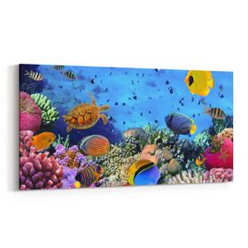 Olla 12061YD Akvaryum Balık Görseli Yatay Dar 60x30 cm Kanvas Tablo