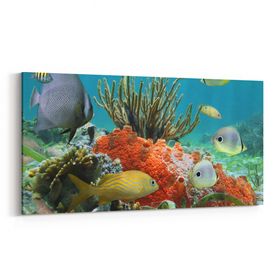 Olla 12064YD Akvaryum Balık Görseli Yatay Dar 60x30 cm Kanvas Tablo