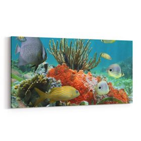 Olla 12064YD Akvaryum Balık Görseli Yatay Dar 60x30 cm Kanvas Tablo