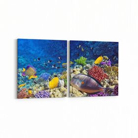Olla 12065K2Y Akvaryum Balık Görseli Kare 2 Parça Yatay 65x30 cm Kanvas Tablo