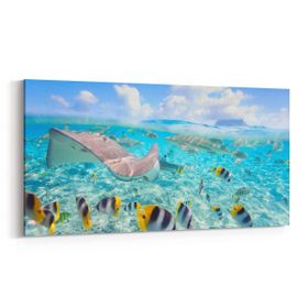 Olla 12066YD Akvaryum Balık Görseli Yatay Dar 60x30 cm Kanvas Tablo