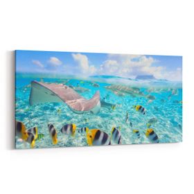 Olla 12066YD Akvaryum Balık Görseli Yatay Dar 60x30 cm Kanvas Tablo