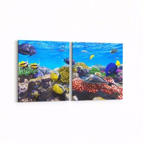 Olla 12067K2Y Akvaryum Balık Görseli Kare 2 Parça Yatay 65x30 cm Kanvas Tablo