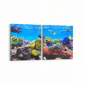 Olla 12067K2Y Akvaryum Balık Görseli Kare 2 Parça Yatay 65x30 cm Kanvas Tablo