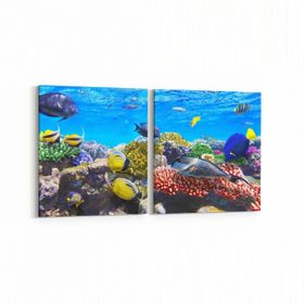 Olla 12067K2Y Akvaryum Balık Görseli Kare 2 Parça Yatay 65x30 cm Kanvas Tablo