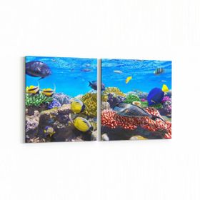 Olla 12067K2Y Akvaryum Balık Görseli Kare 2 Parça Yatay 65x30 cm Kanvas Tablo