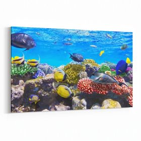 Olla 12067Y Akvaryum Balık Görseli Yatay 30x20 cm Kanvas Tablo