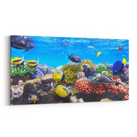 Olla 12067YD Akvaryum Balık Görseli Yatay Dar 60x30 cm Kanvas Tablo