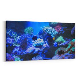 Olla 12068YD Akvaryum Balık Görseli Yatay Dar 60x30 cm Kanvas Tablo