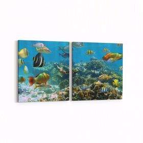 Olla 12071K2Y Akvaryum Balık Görseli Kare 2 Parça Yatay 65x30 cm Kanvas Tablo