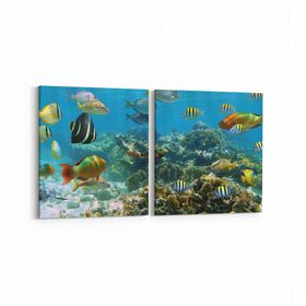 Olla 12071K2Y Akvaryum Balık Görseli Kare 2 Parça Yatay 65x30 cm Kanvas Tablo