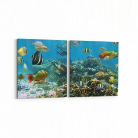 Olla 12071K2Y Akvaryum Balık Görseli Kare 2 Parça Yatay 65x30 cm Kanvas Tablo