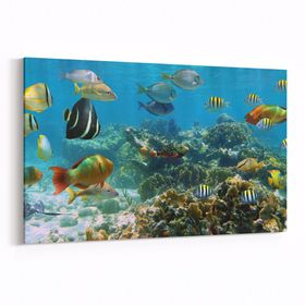 Olla 12071Y Akvaryum Balık Görseli Yatay 30x20 cm Kanvas Tablo