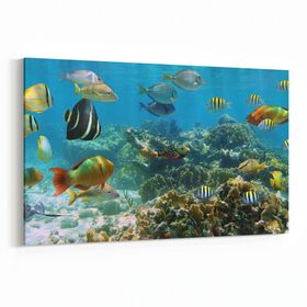 Olla 12071Y Akvaryum Balık Görseli Yatay 30x20 cm Kanvas Tablo