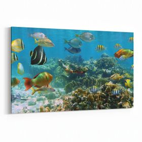 Olla 12071Y Akvaryum Balık Görseli Yatay 30x20 cm Kanvas Tablo