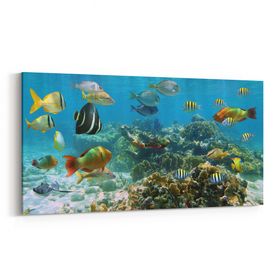Olla 12071YD Akvaryum Balık Görseli Yatay Dar 60x30 cm Kanvas Tablo