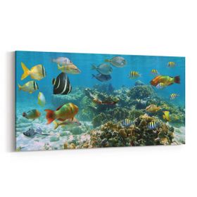 Olla 12071YD Akvaryum Balık Görseli Yatay Dar 60x30 cm Kanvas Tablo