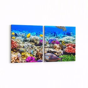 Olla 12072K2Y Akvaryum Balık Görseli Kare 2 Parça Yatay 65x30 cm Kanvas Tablo