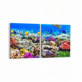 Olla 12072K2Y Akvaryum Balık Görseli Kare 2 Parça Yatay 65x30 cm Kanvas Tablo