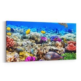 Olla 12072YD Akvaryum Balık Görseli Yatay Dar 60x30 cm Kanvas Tablo