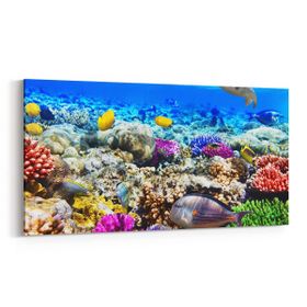 Olla 12072YD Akvaryum Balık Görseli Yatay Dar 60x30 cm Kanvas Tablo