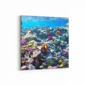 Olla 12073K Akvaryum Balık Görseli Kare 25x25 cm Kanvas Tablo