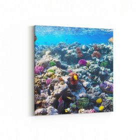 Olla 12073K Akvaryum Balık Görseli Kare 25x25 cm Kanvas Tablo