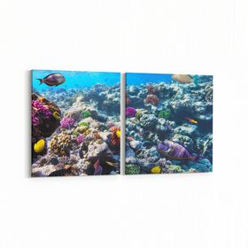 Olla 12073K2Y Akvaryum Balık Görseli Kare 2 Parça Yatay 65x30 cm Kanvas Tablo