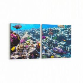 Olla 12073K2Y Akvaryum Balık Görseli Kare 2 Parça Yatay 65x30 cm Kanvas Tablo