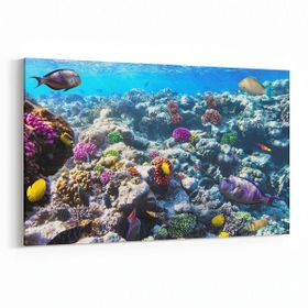 Olla 12073Y Akvaryum Balık Görseli Yatay 30x20 cm Kanvas Tablo