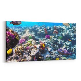 Olla 12073YD Akvaryum Balık Görseli Yatay Dar 60x30 cm Kanvas Tablo