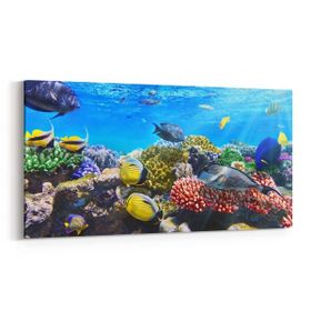 Olla 12074YD Akvaryum Balık Görseli Yatay Dar 60x30 cm Kanvas Tablo
