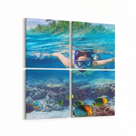 Olla 12076K4 Akvaryum Balık Görseli Kare 4 Parça 65x65 cm Kanvas Tablo