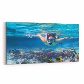 Olla 12076YD Akvaryum Balık Görseli Yatay Dar 60x30 cm Kanvas Tablo