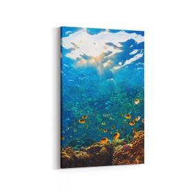 Olla 12077D Akvaryum Balık Görseli Dikey 20x30 cm Kanvas Tablo