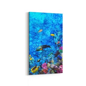 Olla 12078DD Akvaryum Balık Görseli Dikey Dar 30x60 cm Kanvas Tablo