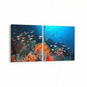 Olla 12079K2Y Akvaryum Balık Görseli Kare 2 Parça Yatay 65x30 cm Kanvas Tablo