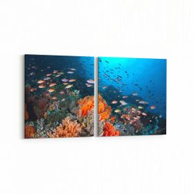 Olla 12079K2Y Akvaryum Balık Görseli Kare 2 Parça Yatay 65x30 cm Kanvas Tablo