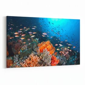 Olla 12079Y Akvaryum Balık Görseli Yatay 30x20 cm Kanvas Tablo