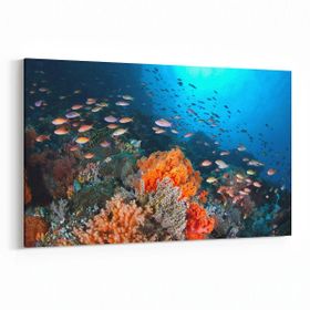 Olla 12079Y Akvaryum Balık Görseli Yatay 30x20 cm Kanvas Tablo