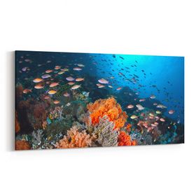 Olla 12079YD Akvaryum Balık Görseli Yatay Dar 60x30 cm Kanvas Tablo