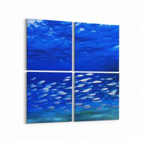 Olla 12080K4 Akvaryum Balık Görseli Kare 4 Parça 65x65 cm Kanvas Tablo