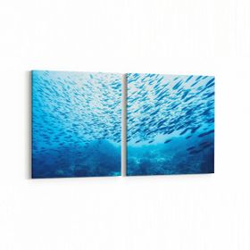 Olla 12081K2Y Akvaryum Balık Görseli Kare 2 Parça Yatay 65x30 cm Kanvas Tablo