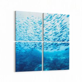 Olla 12081K4 Akvaryum Balık Görseli Kare 4 Parça 65x65 cm Kanvas Tablo