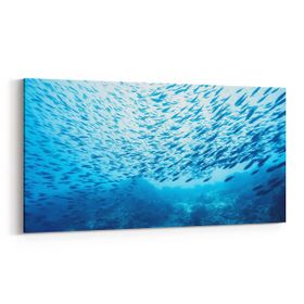 Olla 12081YD Akvaryum Balık Görseli Yatay Dar 60x30 cm Kanvas Tablo